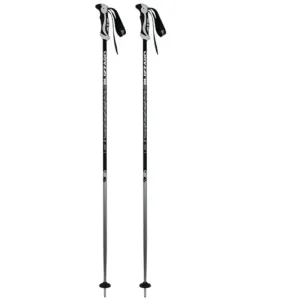 BLIZZARD-Allmountain ski poles, silver Šedá 110 cm 23/24