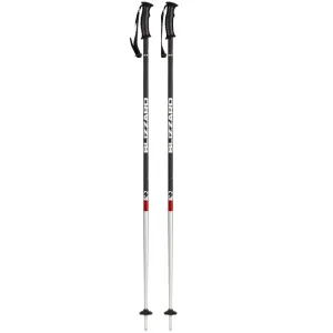 BLIZZARD-Rental ski poles Mix 135 cm 23/24