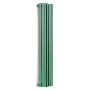 Blumfeldt Delgado, 120 x 25, radiátor, kúpeľňový radiátor, rúrkový radiátor, 508W, teplá voda, 1/2 #5471103