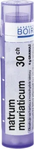 NATRUM CARBONICUM GRA HOM CH30, na tráviace indikácie, 4 g