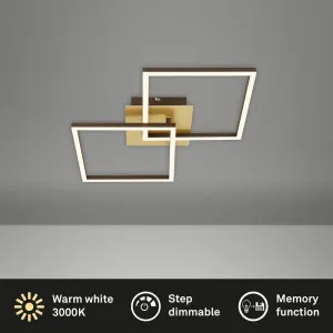 Stropné svietidlo LED Frame, zlaté, stmievateľné, 2 svetlá