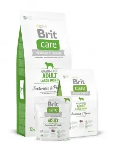 BRIT Care Brit Care GF Adult Large  Salm/Potato 1 (jablková)