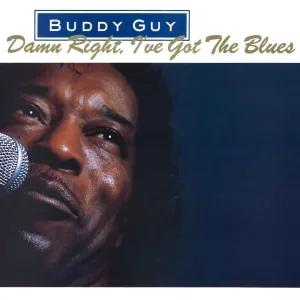 Guy, Buddy - Damn Right, I've Got the Blues, Vinyl