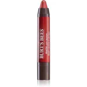 Burt’s Bees Lip Crayon rúž v ceruzke s matným efektom odtieň 3.1 g