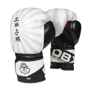 Boxerské rukavice DBX BUSHIDO B-2v8 Veľkosť: 10oz