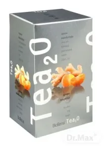 Tea2O Zázvor & Mandarínka, 20x2,5 g