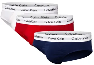 Calvin Klein 3 PACK - pánske slipy U2661G-I03 L