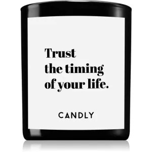 Candly & Co. Trust the timing vonná sviečka 250 g