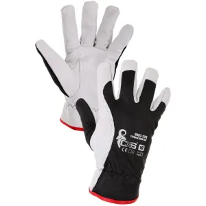 Canis (CXS) Kombinované zimné rukavice TECHNIK WINTER - 10