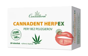 CANNADERM Cannadent HerpEX pery bez pľuzgierov 28 kapsúl