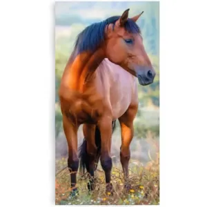 CARBOTEX Froté uterák kôň hnedák na lúke 30 × 50 cm