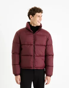 Celio Winter Jacket Fuparigi - Men #8414587