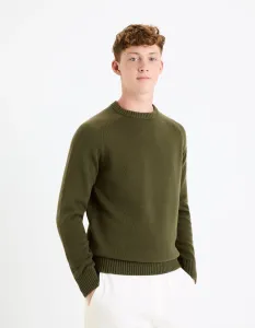 Celio Sweater Febasic - Men #8350409