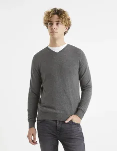 Celio Sweater Veviflex - Men's #732167