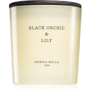 Cereria Mollá Boutique Black Orchid & Lily vonná sviečka 600 ml