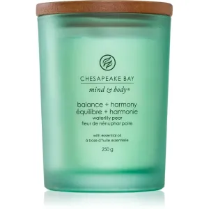 Chesapeake Bay Candle Mind & Body Balance & Harmony vonná sviečka 250 g