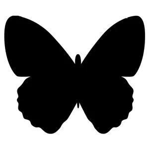 Popisovacia tabuľa Securit Motýľ