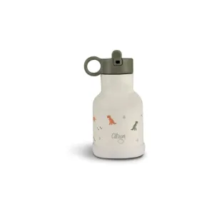 Citron Water Bottle 250 ml (Stainless Steel) fľaša na vodu z nehrdzavejúcej ocele Dino 250 ml