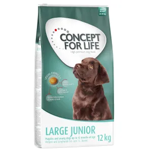 Concept for Life granule, 1 kg / 1,5 kg - 15 % zľava  - 1,5 kg Large Junior