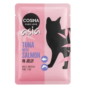 Výhodné balenie Cosma Thai/Asia kapsičky 24 x 100 g - tuniak a losos