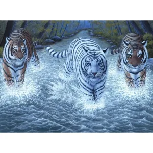 Creatoys Maľovanie veľké Royal Tri tigre