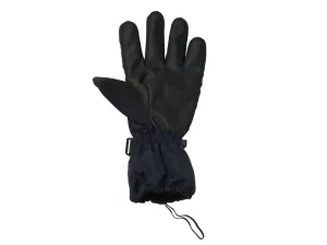 CRIVIT Pánske lyžiarske rukavice (8,5, čierna/klasické rukavice)