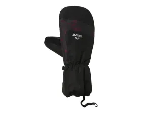 CRIVIT Pánske lyžiarske rukavice (8,5, čierna/palčiaky)