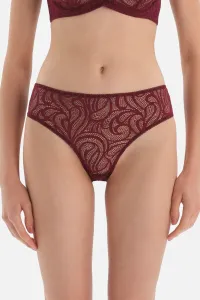 Dagi Cherry Stripe Detailed Lace Brazilian Briefs