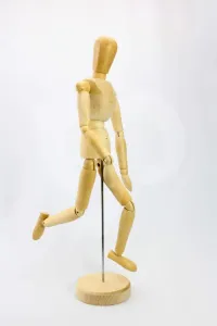 Drevený model ľudského tela - UNISEX (drevené modely ľudského tela )