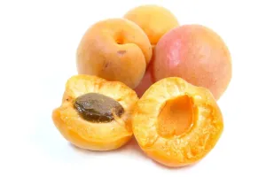 Stužovač Marhuľa Fond Apricot 2,5 kg - Dawn