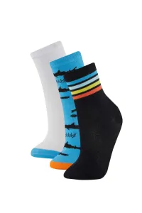 DEFACTO Boy 3 piece Long sock #9534155