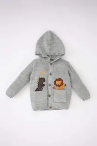 DEFACTO Baby Boy 3D Hooded Knitwear Cardigan #7540485