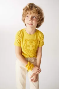 DEFACTO Boy Regular Fit Crew Neck Embroidered Short Sleeve T-Shirt