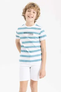 DEFACTO Boys Regular Fit Crew Neck Striped Short Sleeve T-Shirt #6548266