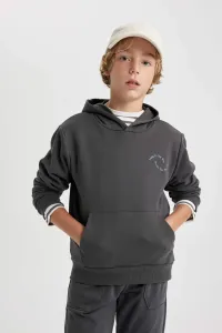DEFACTO Regular Fit Hooded Sweatshirt