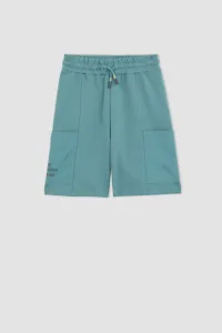 DEFACTO Boy Regular Fit Shorts