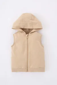 DEFACTO Baby Boy Hooded Sweat Vest