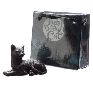 Čierna mačka pre šťastie v darčekovej minitaštičke Číslo: 1 #2487051