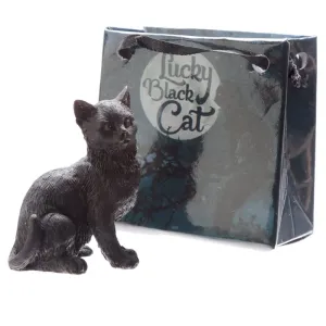 Čierna mačka pre šťastie v darčekovej minitaštičke Číslo: 4 #8837954