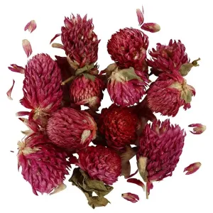 Sušené kvety - ďatelina - 15 g (prírodná dekorácia)