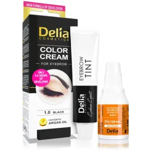 Delia Cosmetics Argan Oil farba na obočie odtieň 1.0 Black 15 ml #871198