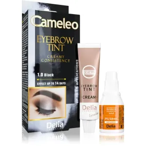Delia Cosmetics Cameleo profesionálna krémová farba na obočie bez amoniaku odtieň 1.0 Black 15 ml