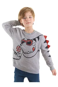 Denokids Candy Store Dinosaur Boys Gray Sweatshirt #4465130