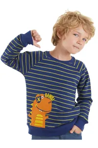 Denokids Dino Boys Striped Navy Sweatshirt