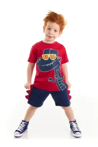 Denokids Cool Dino Boys T-shirt Shorts Set