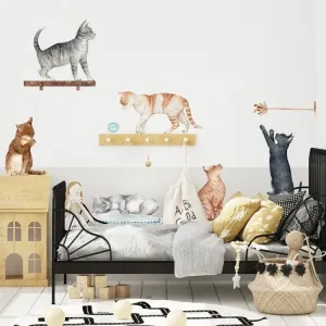 Nálepka na stenu Animals - mačičky DK395