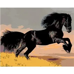 Diamondi – Diamantové maľovanie – Čierny Kôň, 40 × 50 cm, bez rámu a bez vypnutia plátna