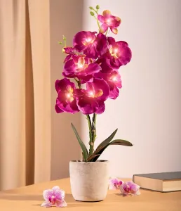 Die moderne Hausfrau LED umělá orchidej