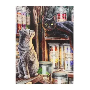 Obraz na plátne s mačkami a lektvarmi #6702689