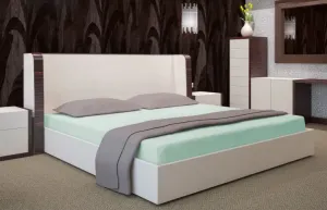 Zelené bavlnené prestieradlá na postele Šírka: 180 cm | Dĺžka: 200 cm